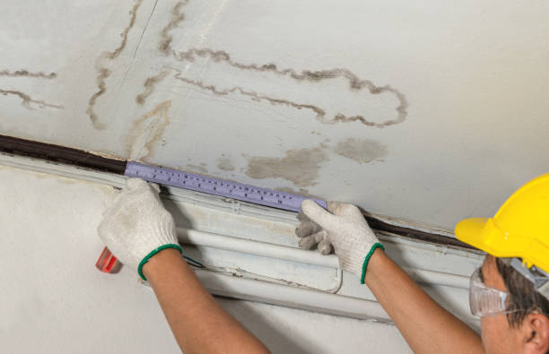 Reliable Water Damage contractor in National City, CA by Water Damage Irwin